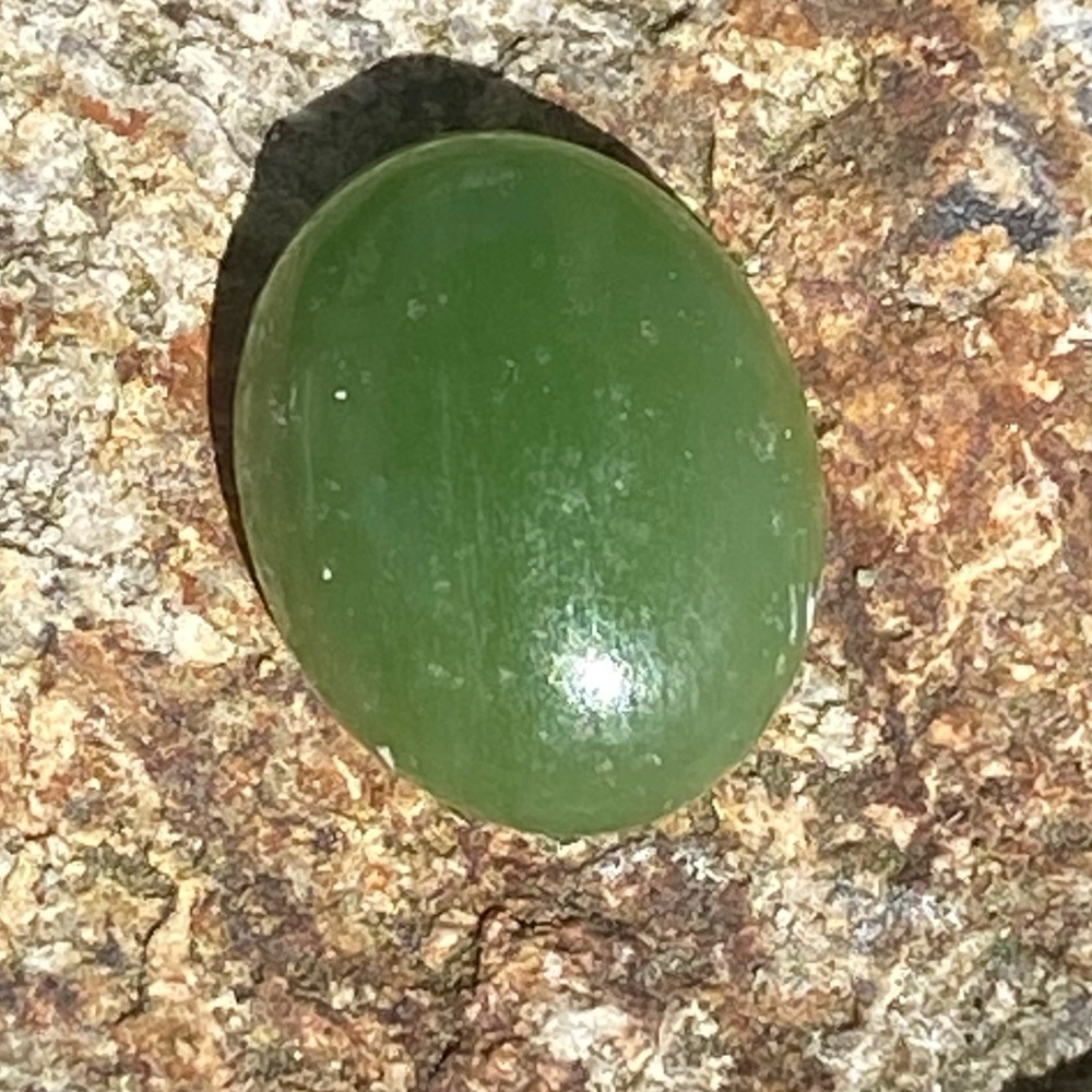 Green Reptile Habitat Stone